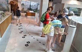 Grupa dzieci podczas zwiedzania