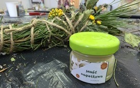 Słoiczek z maścią i rośliny.