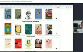 Zrzut ekranu przestawiający kolekcje w katalogu OPAC