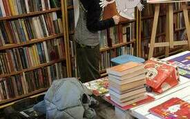 Chłopiec trzyma postać muminka z papieru. Przykleja do tablicy liście. W tle regały z książkami.