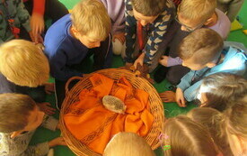 Grupa dzieci skupionych wok&oacute;ł koszyka wiklinowego, w kt&oacute;rym znajduje się mały jeż. 