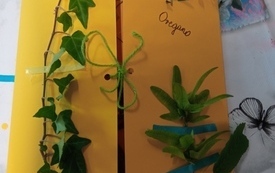 Zielnik z ż&oacute;łtego kartonu z przyklejonymi roślinami.