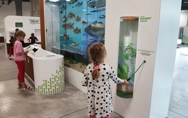 Dzieci oglądają eksponat - akwarium