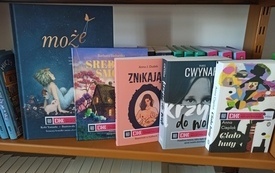 Kilka książek leży na półce.