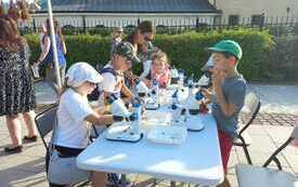 Grupa dzieci ogląda owady z użyciem mikroskop&oacute;w