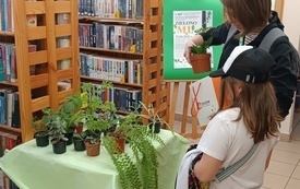 Kobieta i dziewczynka w trakcie wymiany roślin.