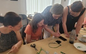 Skupione kobiety podczas pracy.