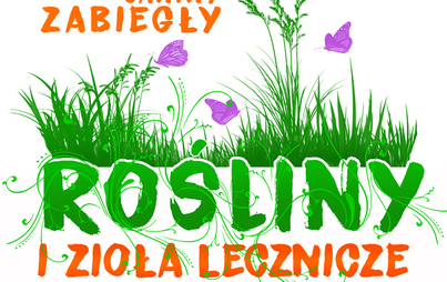 Zdjęcie do „Rośliny i zioła na mojej działce” - prelekcja Janiny Zabiegły