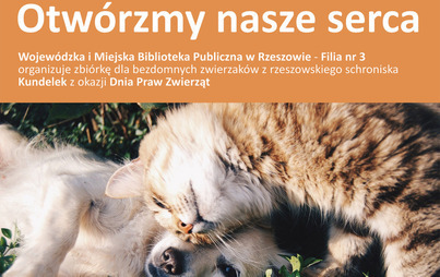 Zdjęcie do &nbsp;&bdquo;Otw&oacute;rzmy nasze serca&rdquo; -  zbi&oacute;rka dla bezdomnych zwierzak&oacute;w z rzeszowskiego schroniska &bdquo;Kundelek&rdquo;