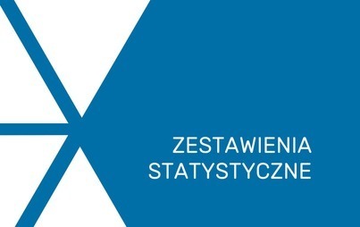 Zdjęcie do Zestawienia statystyczne