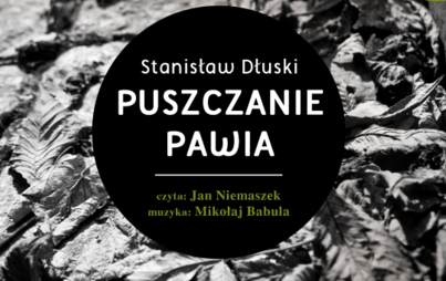 Zdjęcie do Stanisław Dłuski, &bdquo;Puszczanie pawia&rdquo;, Rzesz&oacute;w 2014