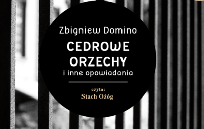 Zdjęcie do Zbigniew Domino, &bdquo;Cedrowe orzechy i inne opowiadania&rdquo;, Rzesz&oacute;w 2014