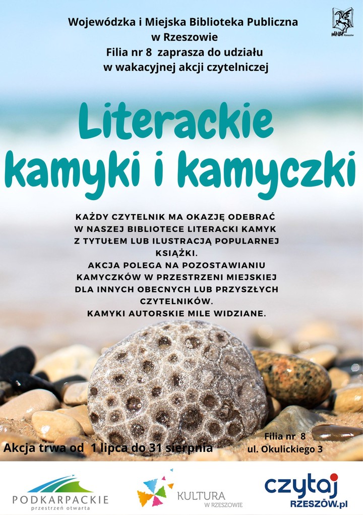 Kamyki na plaży