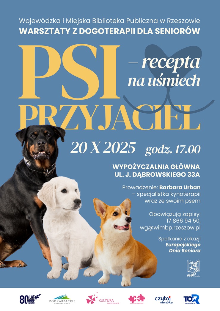 Trzy psy: czarny, biały i brązowy